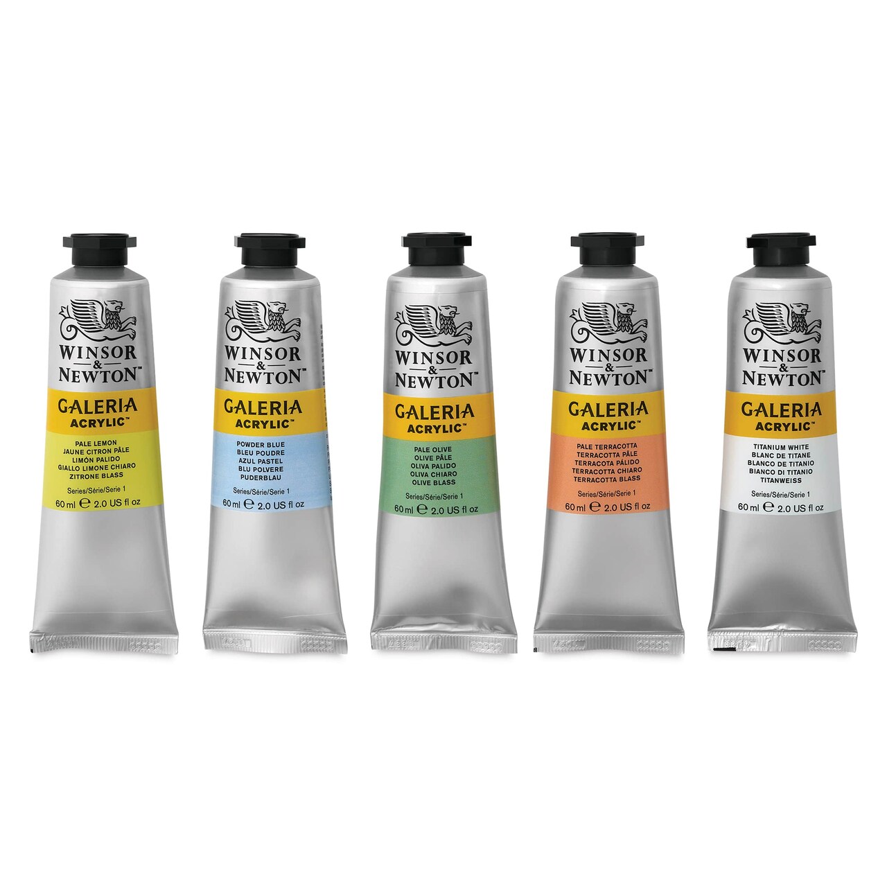 Winsor & Newton Galeria Acrylics - Set of 5, Pastel Colors, 60 ml tubes
